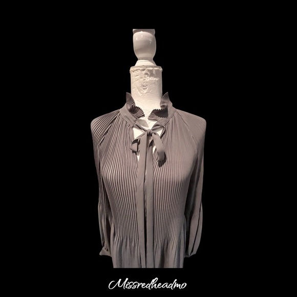 Banana Republic Elegant Gray Pleated Blouse - Picture 2 of 5